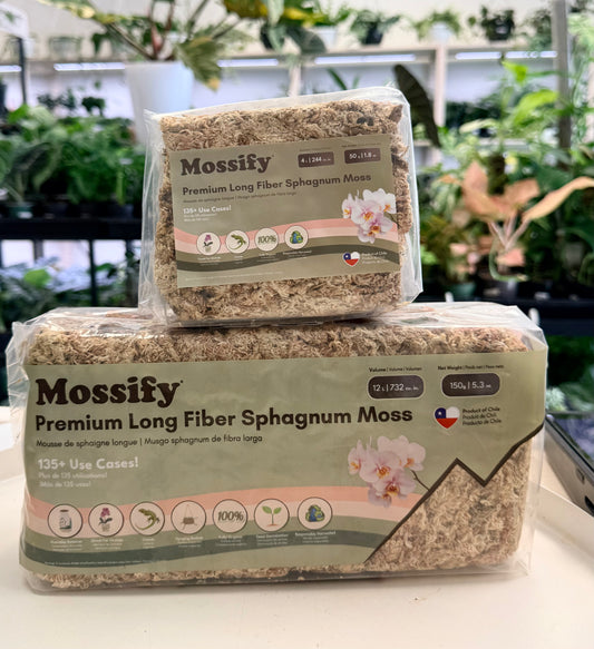 Sphagnum Moss | Premium Long Fiber