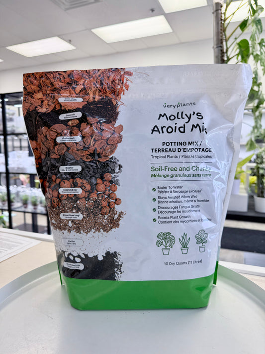 Molly's Aroid Mix 11L | No Ship