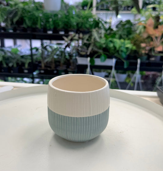Ceramic Pot | Color Block Teal 3”