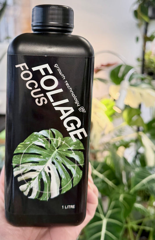 GT Foliage Focus