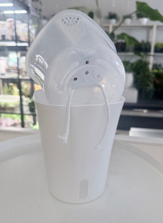Self-watering Pot with Clear Inserts
