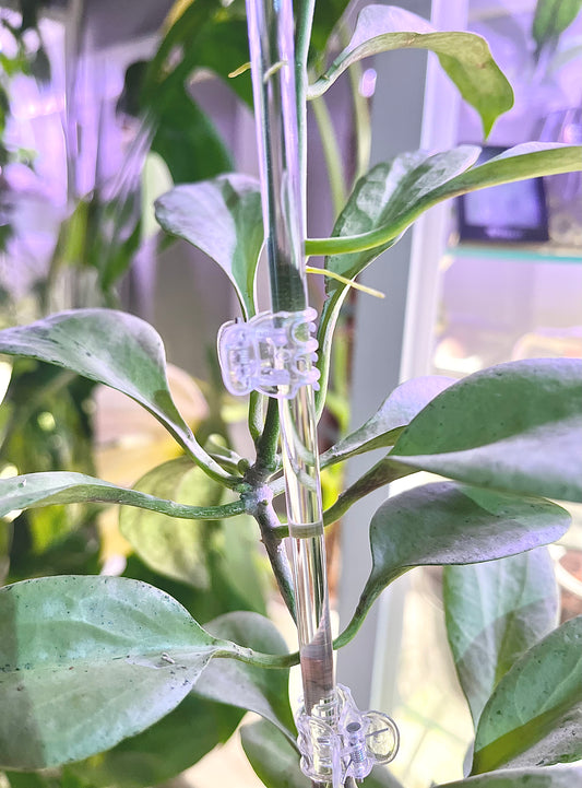 Plant Clips | 25pcs Clear Plastic