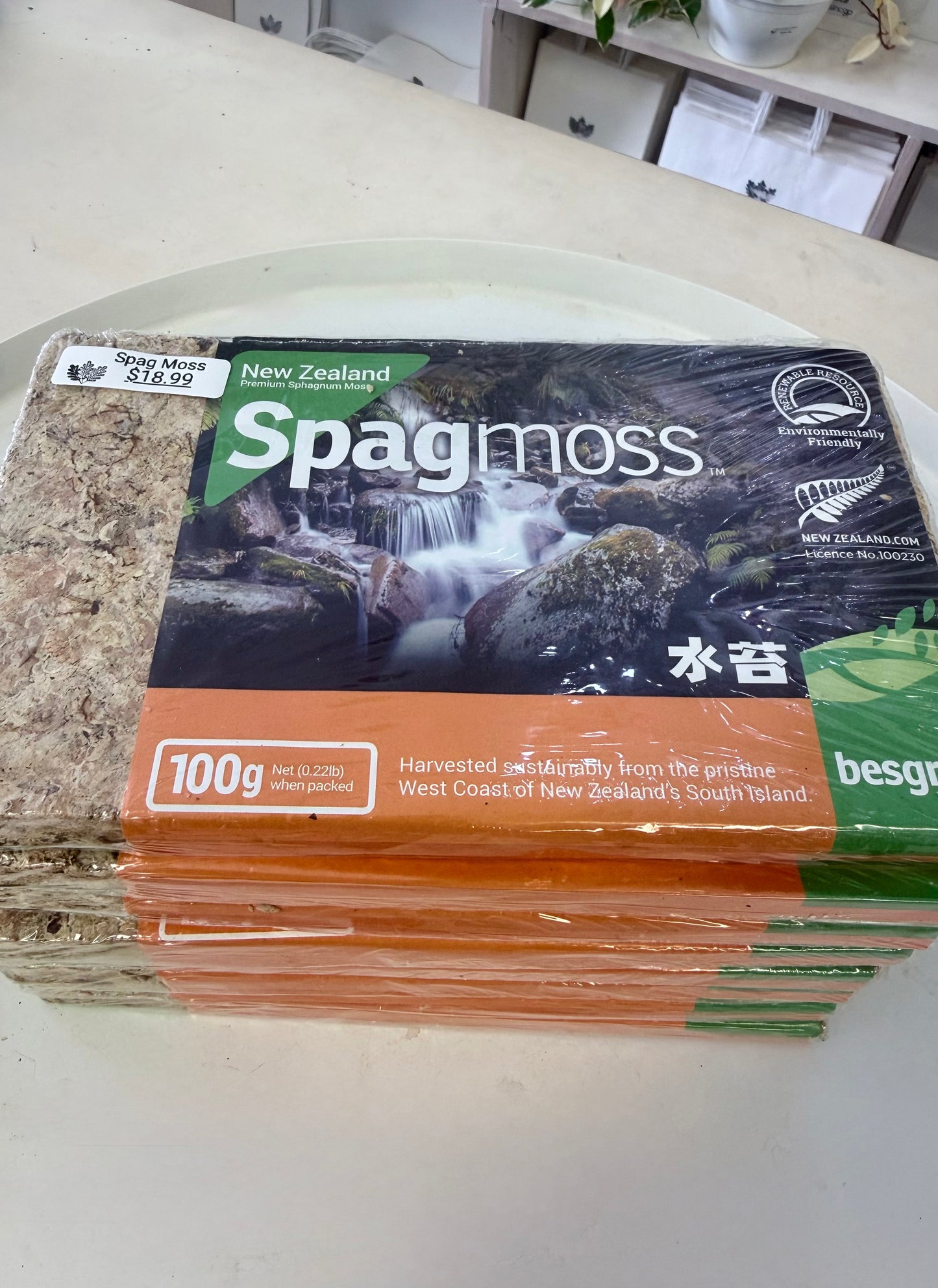 Sphagnum Moss | Premium 100g Dried Compressed