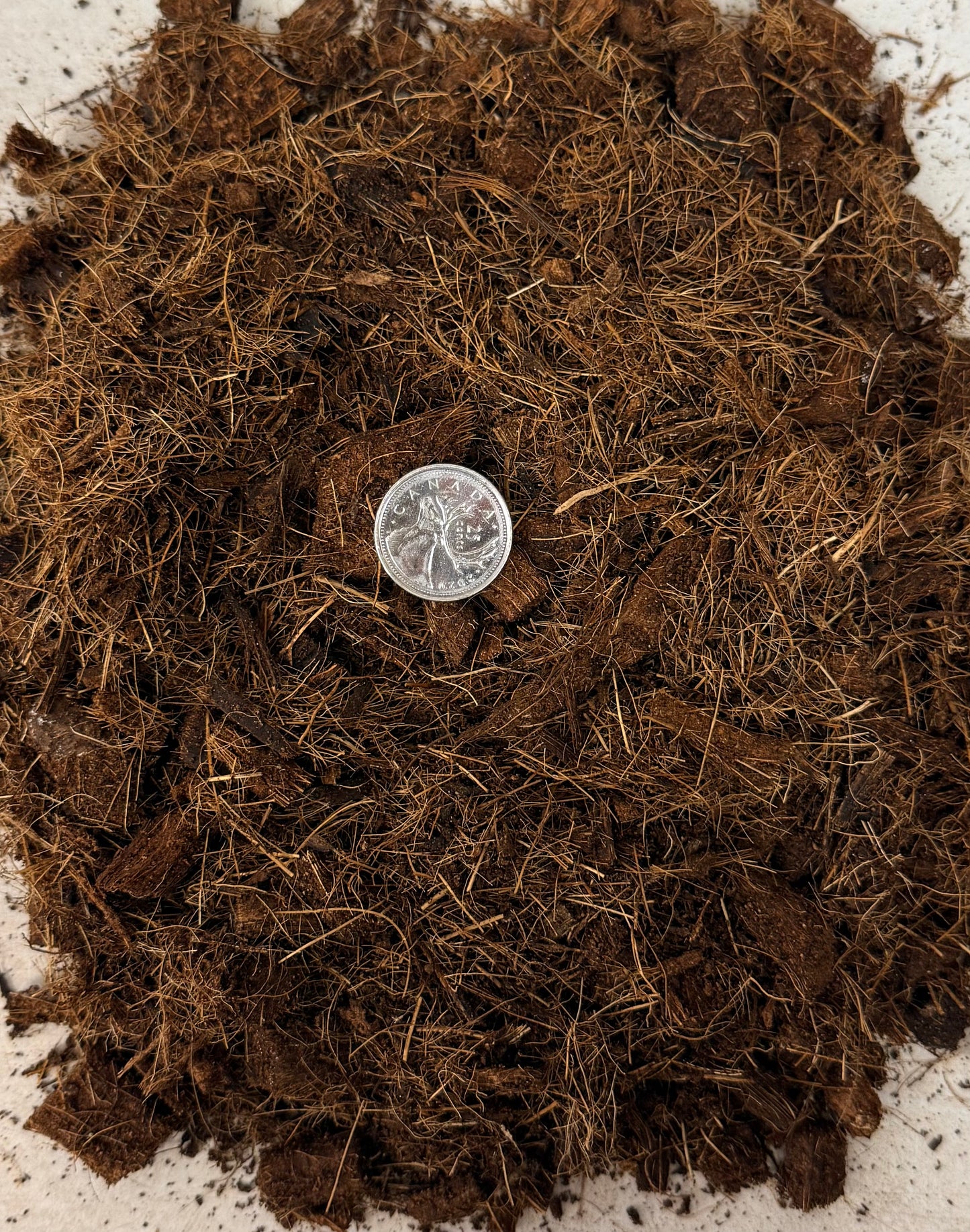 Coarse Coco Coir 2L