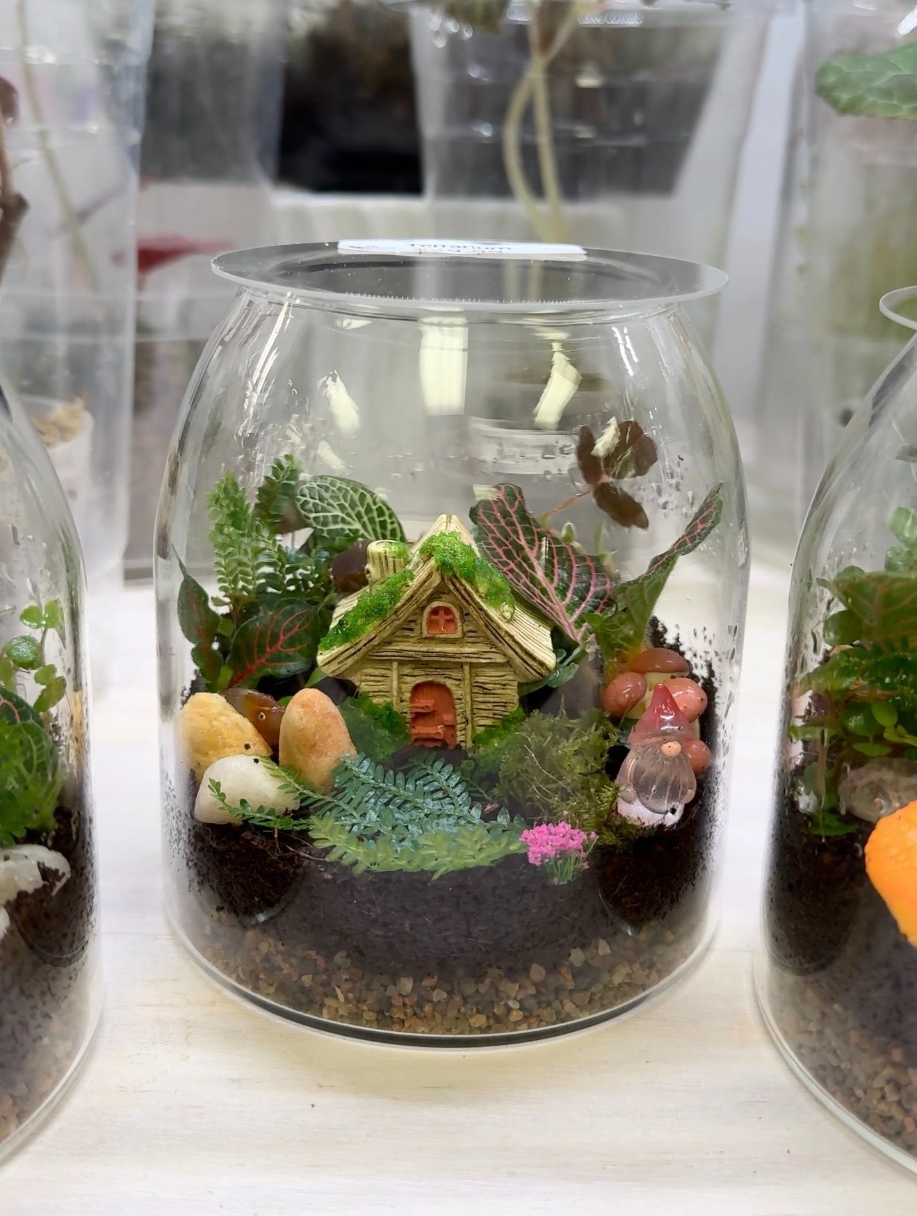 Workshop | Fairy Garden | Terrarium