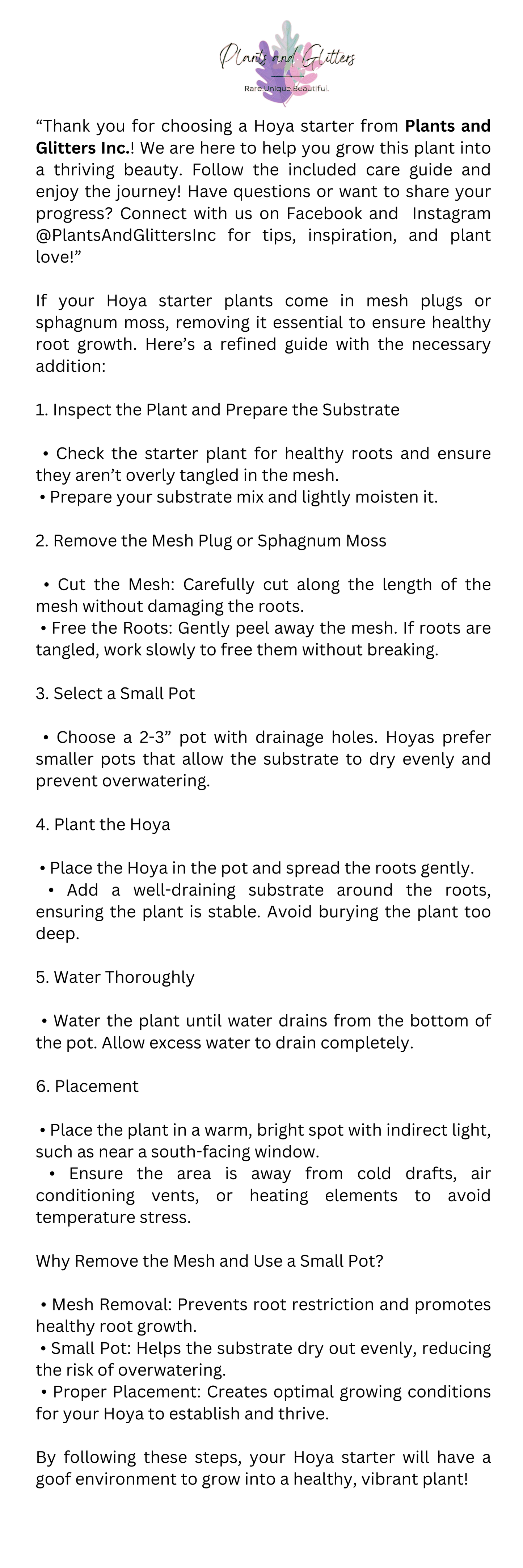 Plants in Plug Repotting Guide
