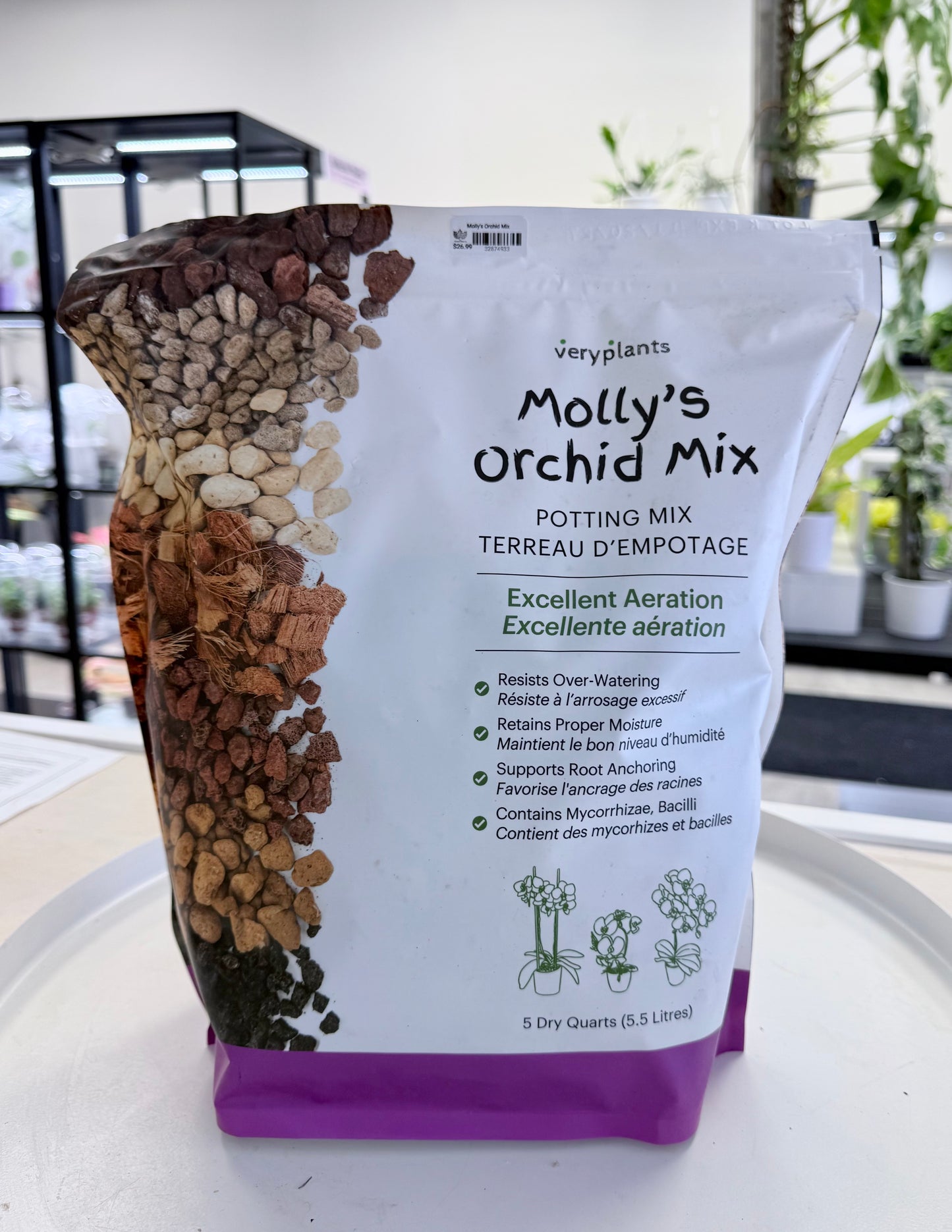 Molly's Orchid Mix | No Ship