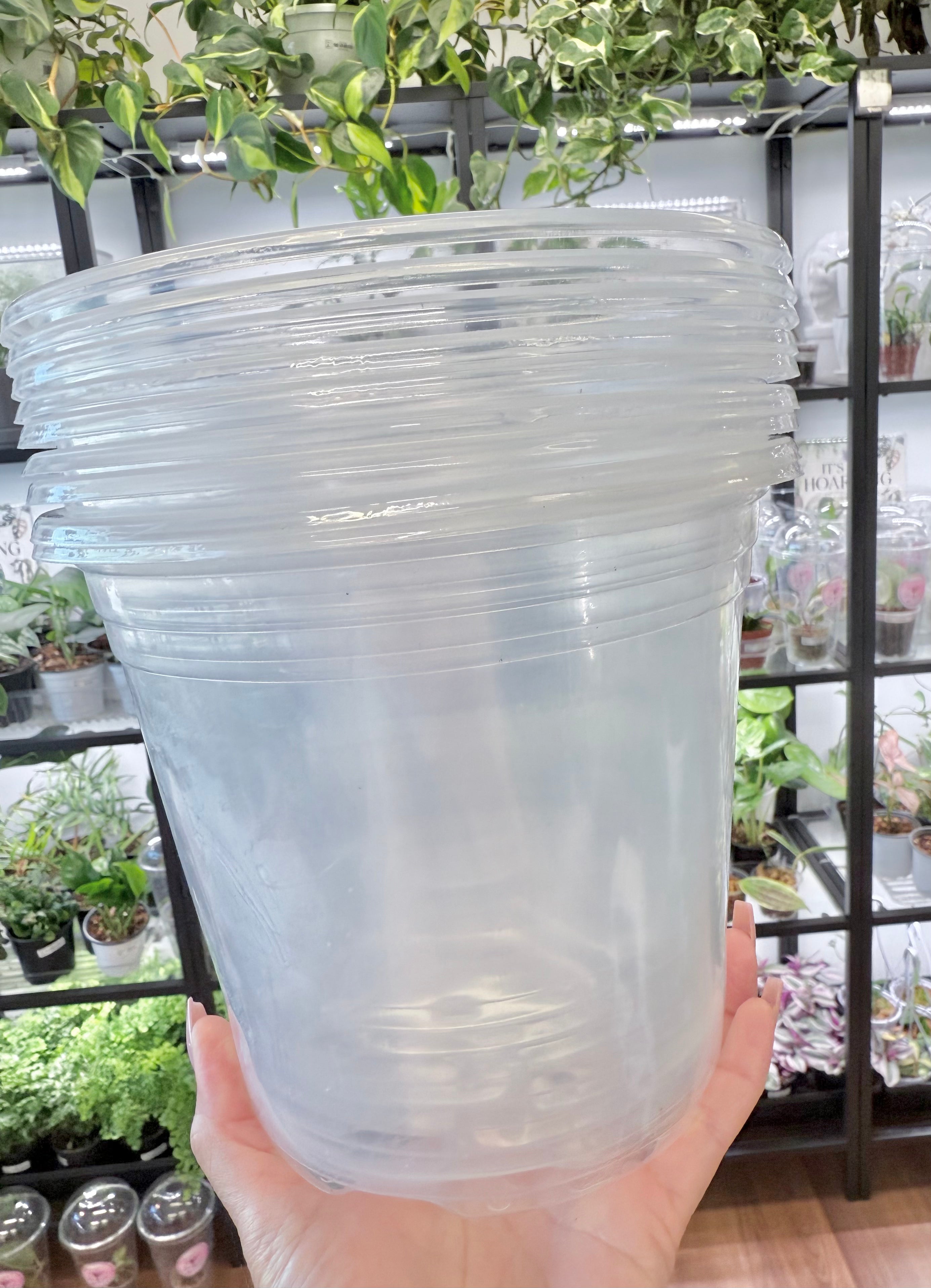 Clear Orchid Pots – Plants and Glitters Inc.