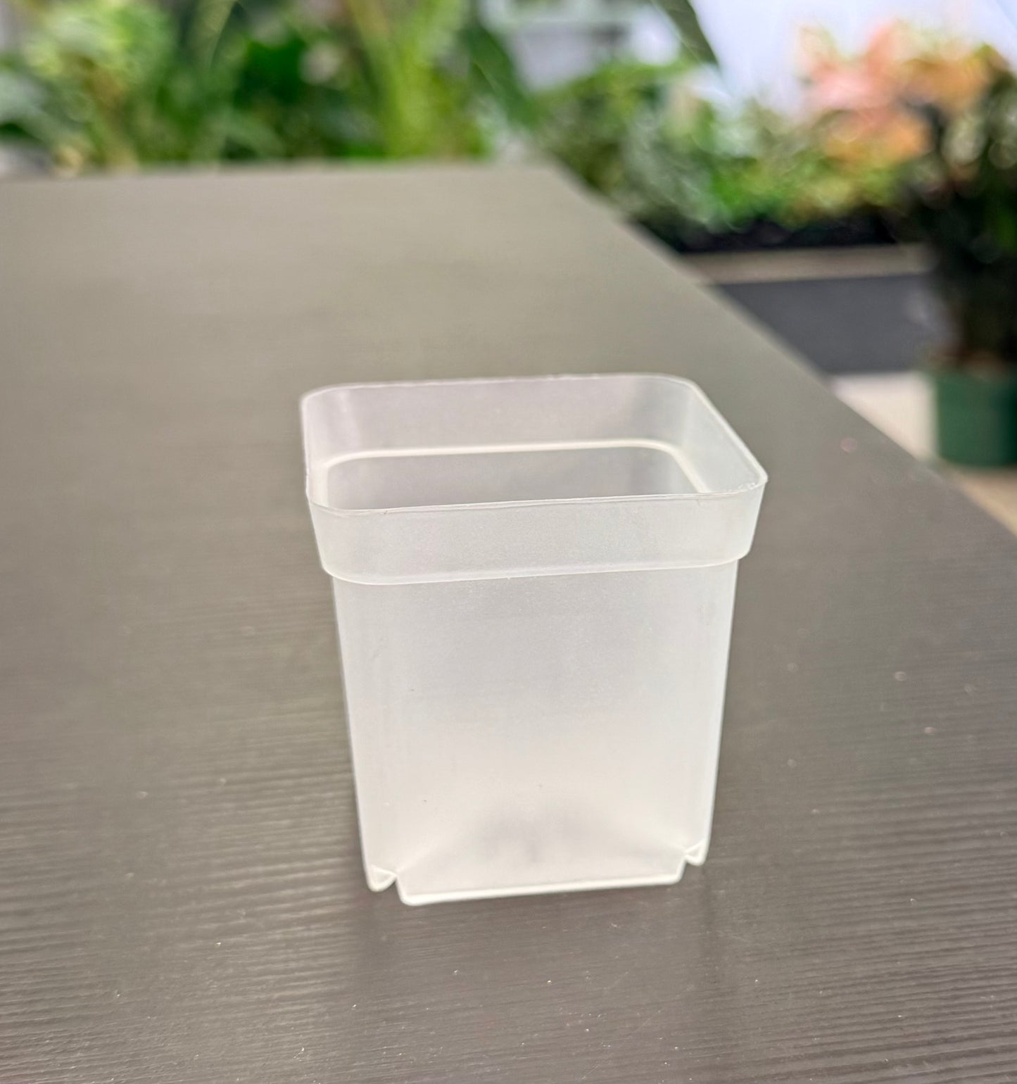 Clear Orchid Pots
