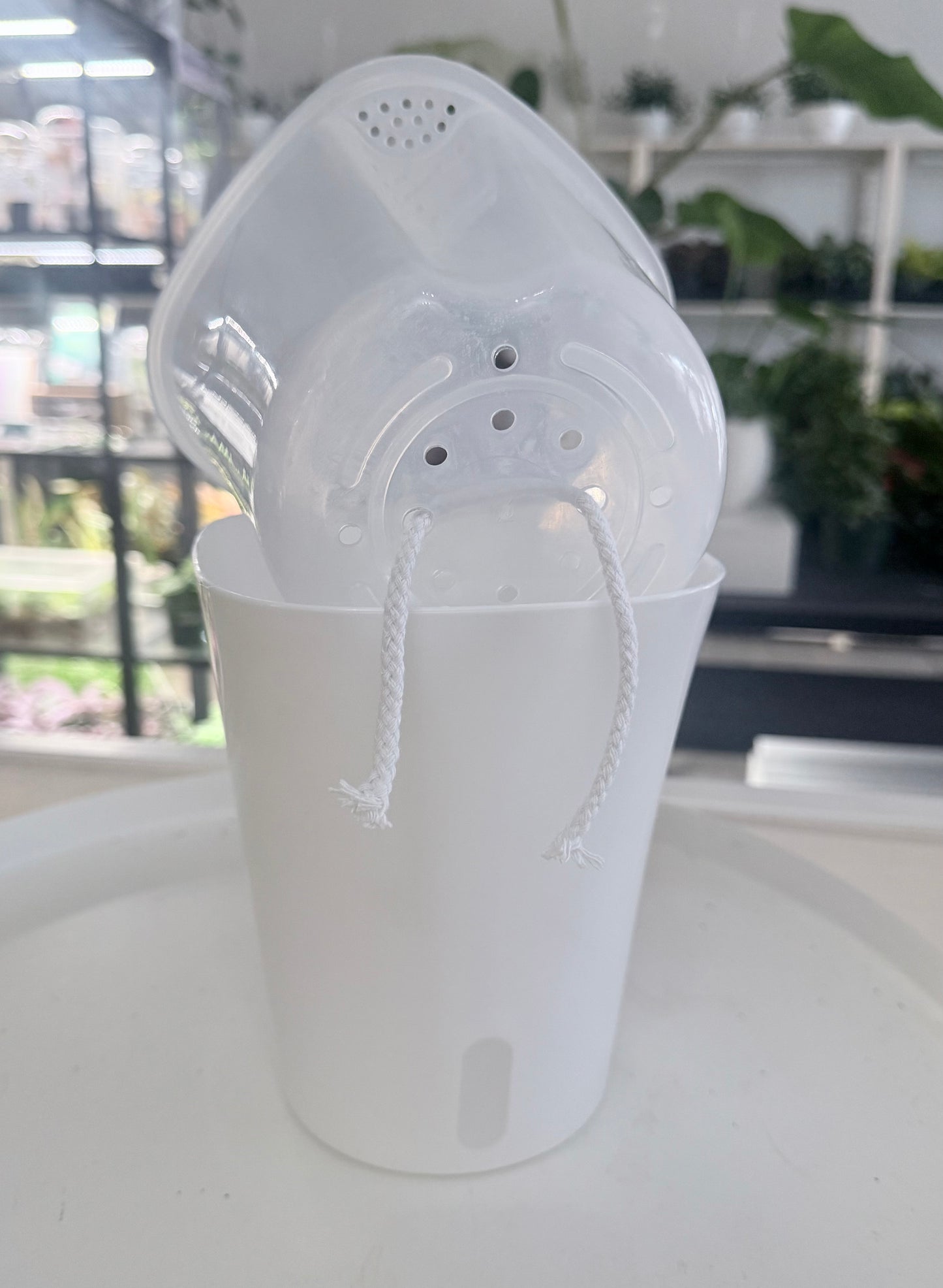 Self-watering Pot with  Clear Inserts