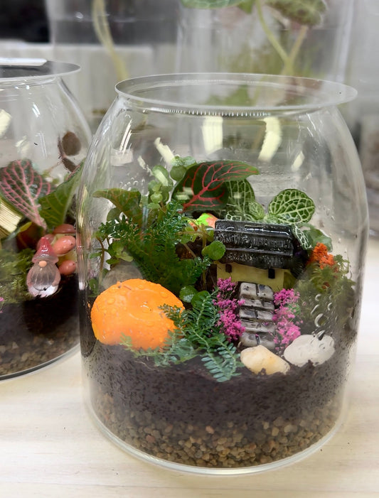 Fairy Garden Terrarium | No Ship | Please Choose In-Store