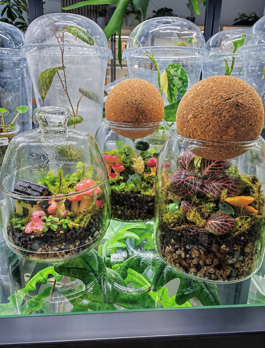 Fairy Garden Terrarium | No Ship | Please Choose In-Store