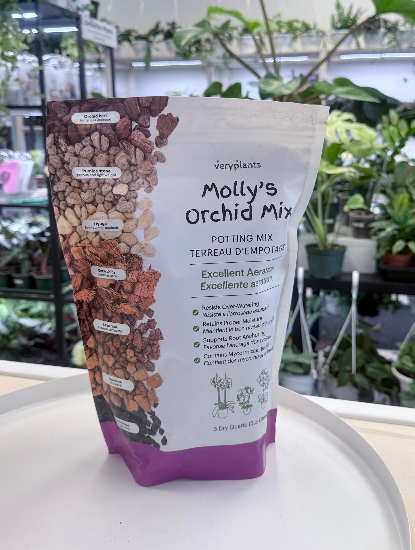 Molly's Orchid Mix | No Ship