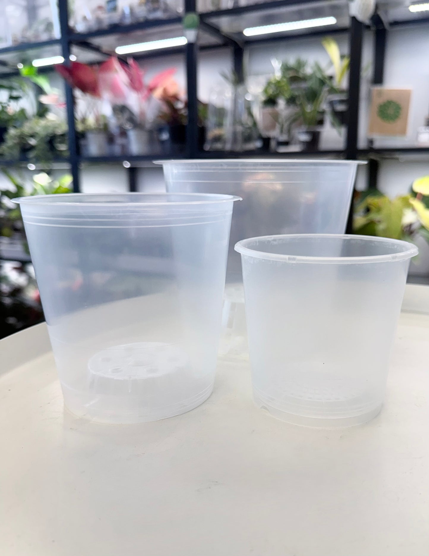 Clear Orchid Pots