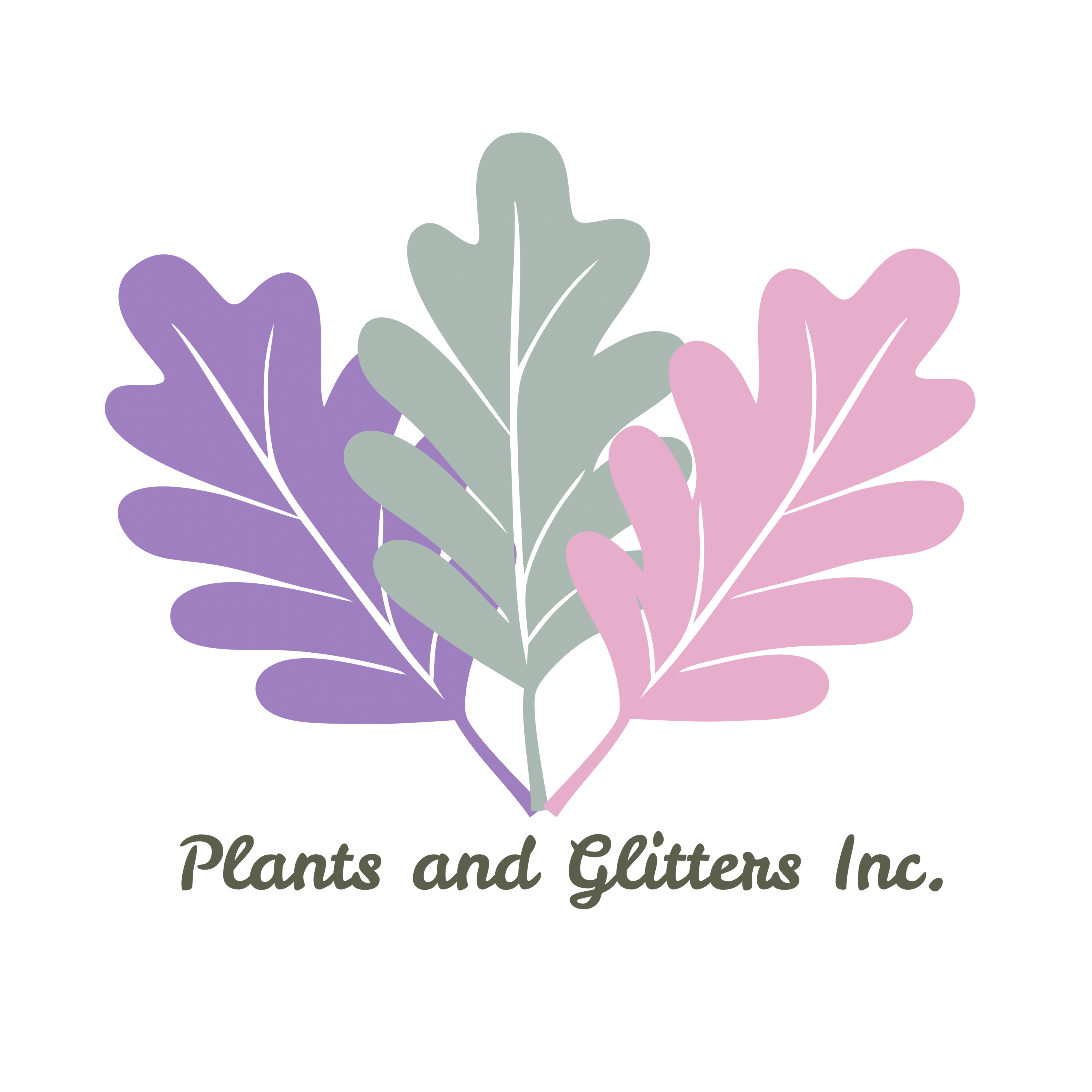 その他 ALLADINA Aglaonema 'Aladdin' – Plants and Glitters Inc.
